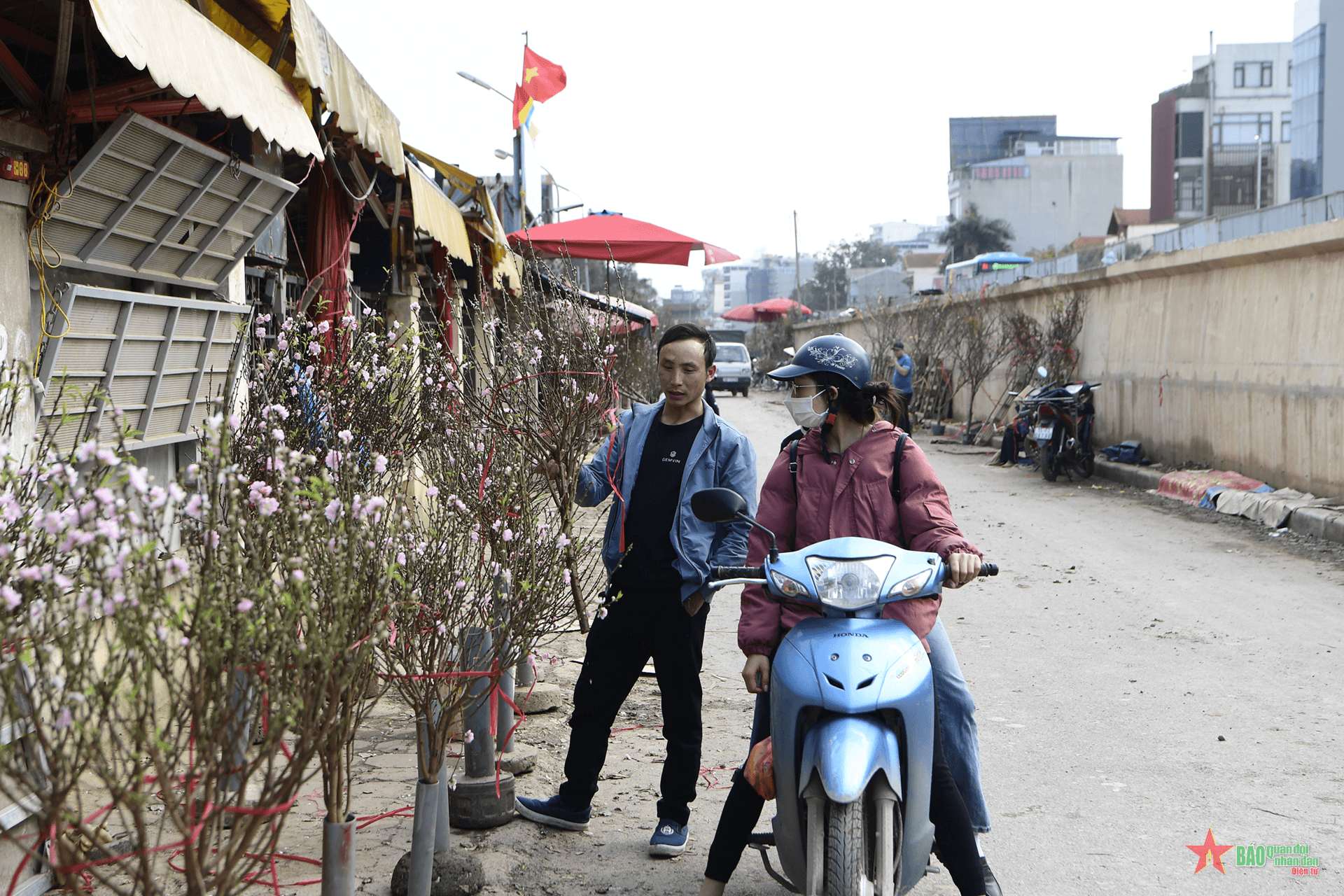 Náo nức chợ hoa Tết Quảng An