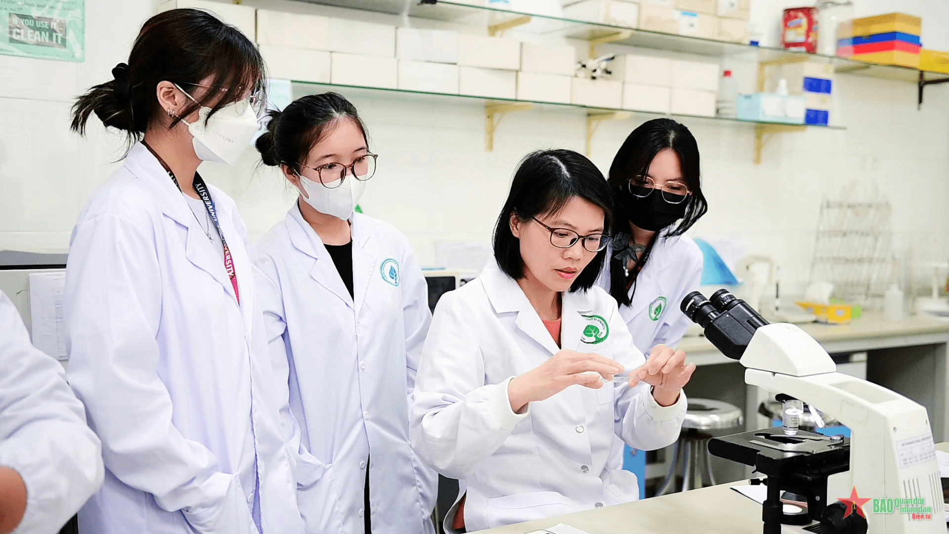 Không đâu bằng Việt Nam