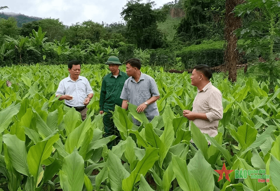 Thương nhau “hạt gạo cắn đôi”