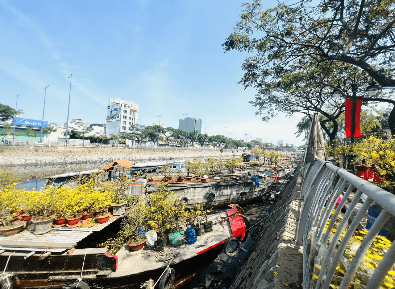 Những dòng sông ăm ắp tiếng Xuân reo