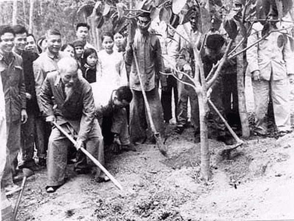 Ngày xuân, nhớ Tết trồng cây và triết lý sống hòa hợp với thiên nhiên của Bác Hồ