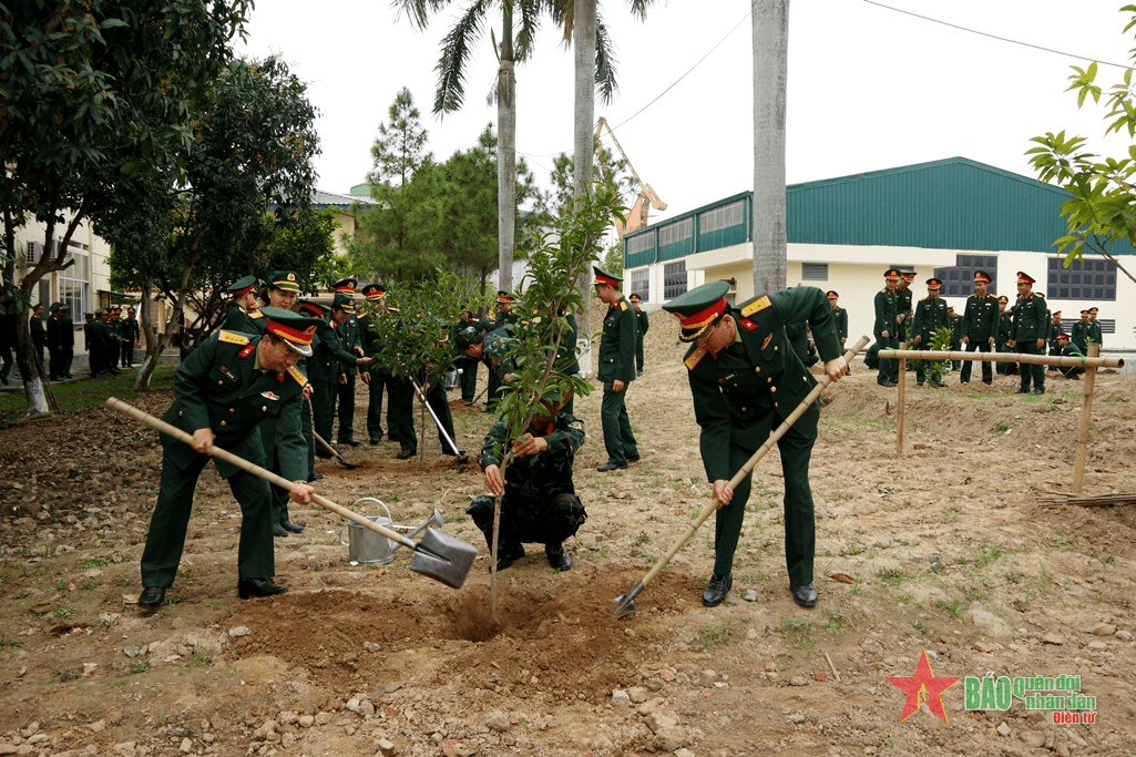 Chuẩn bị chu đáo để Tết trồng cây năm 2024 diễn ra thiết thực, hiệu quả