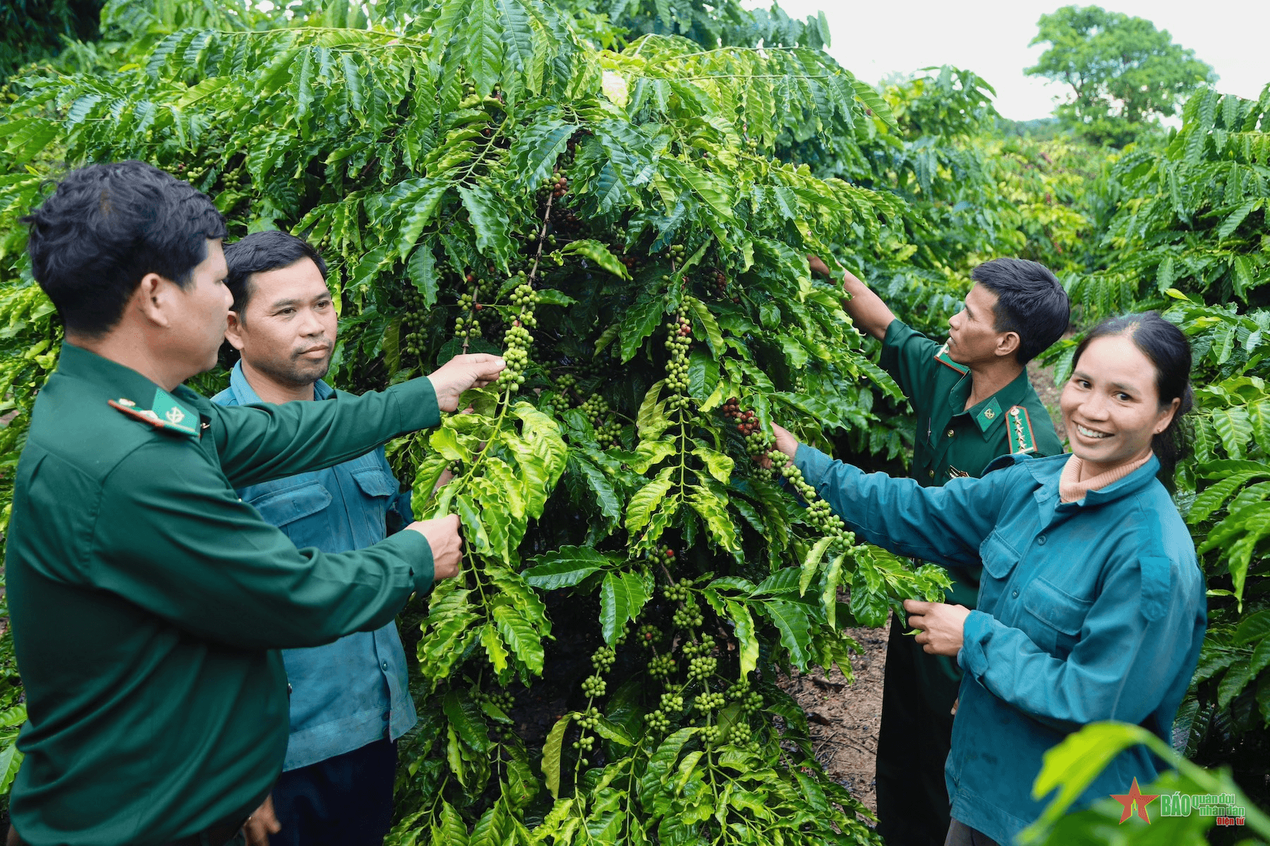 Những dấu chân mở đường - Bài 1: Khép lại cánh cửa nghèo khó