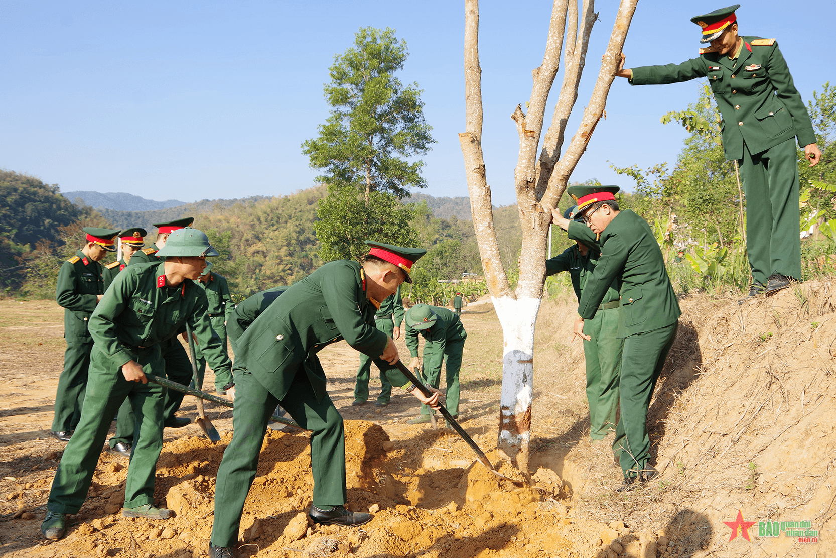 Bộ Chỉ huy Quân sự tỉnh Điện Biên trồng hơn 1.500 cây xanh