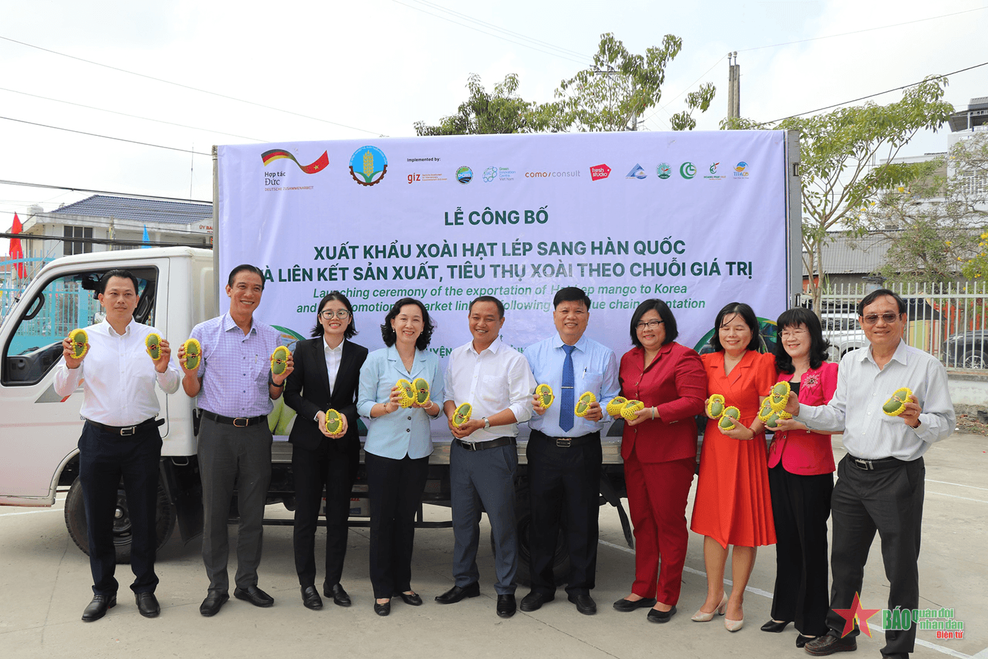An Giang: Xuất lô xoài hạt lép đầu tiên sang thị trường Hàn Quốc