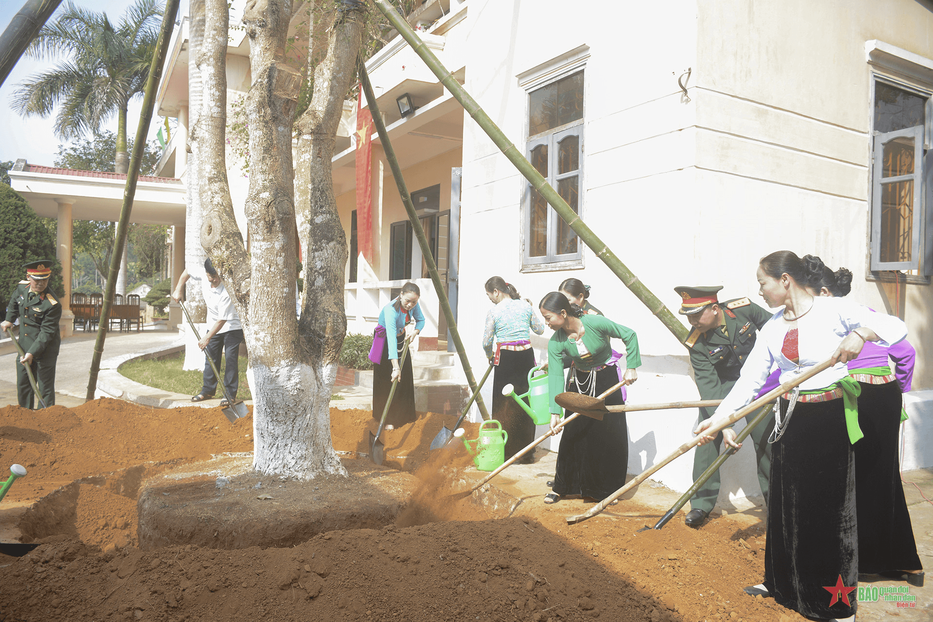 Cục Quân khí, Tổng cục Kỹ thuật: Phấn đấu trồng hơn 408 nghìn cây các loại trong năm 2024