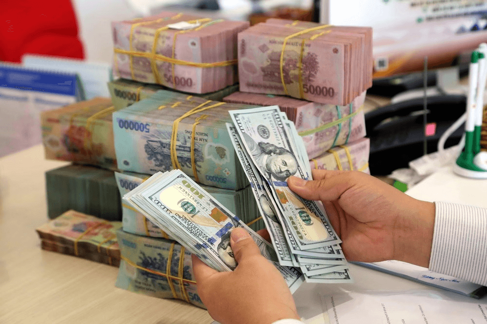 Tỷ giá USD hôm nay (24-2): Đồng USD thiếu động lực tăng giá, thị trường tạm dừng mua vào