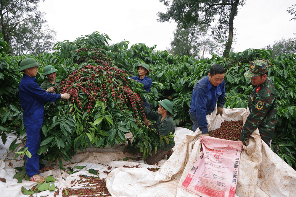 Chung sức chăm lo đồng bào dân tộc thiểu số ở Tây Nguyên