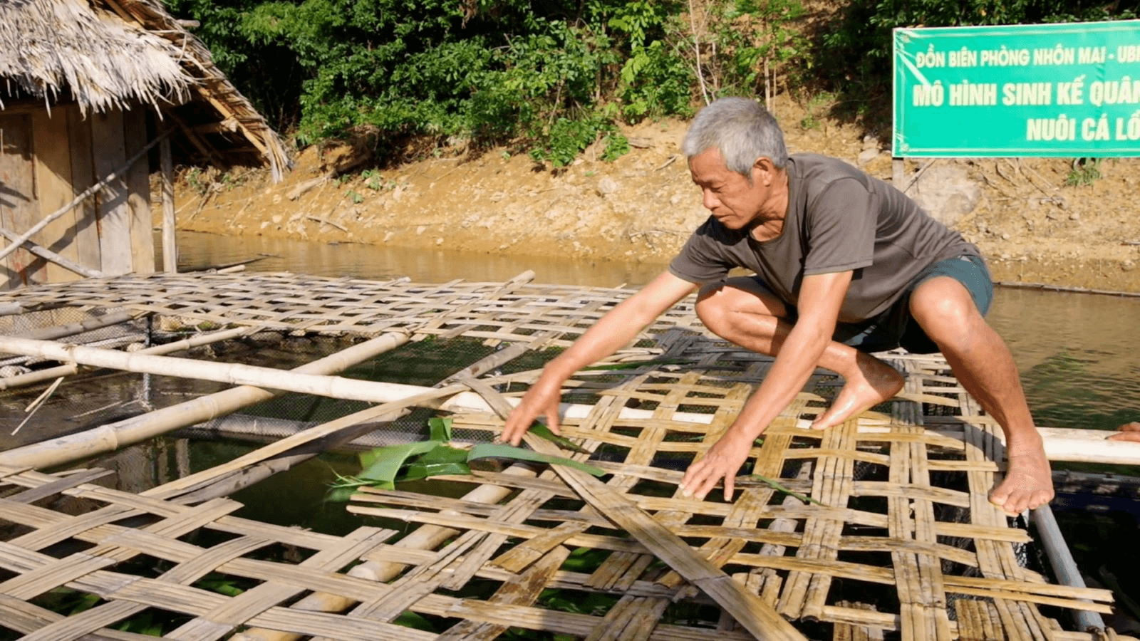 Giúp dân nuôi cá lồng phát triển kinh tế