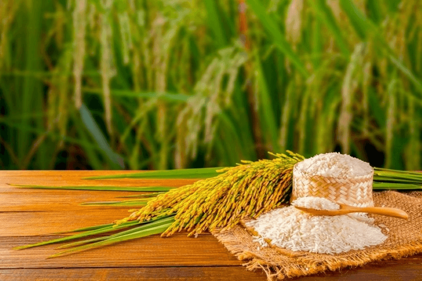 Giá lúa gạo hôm nay (24-3): Sôi động phiên cuối tuần