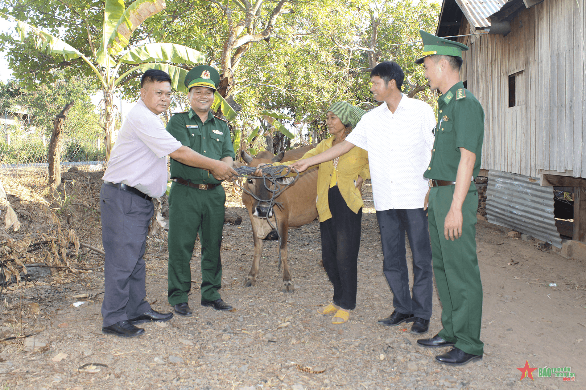 Đắk Lắk: Trao bò sinh sản tặng hộ nghèo khu vực biên giới