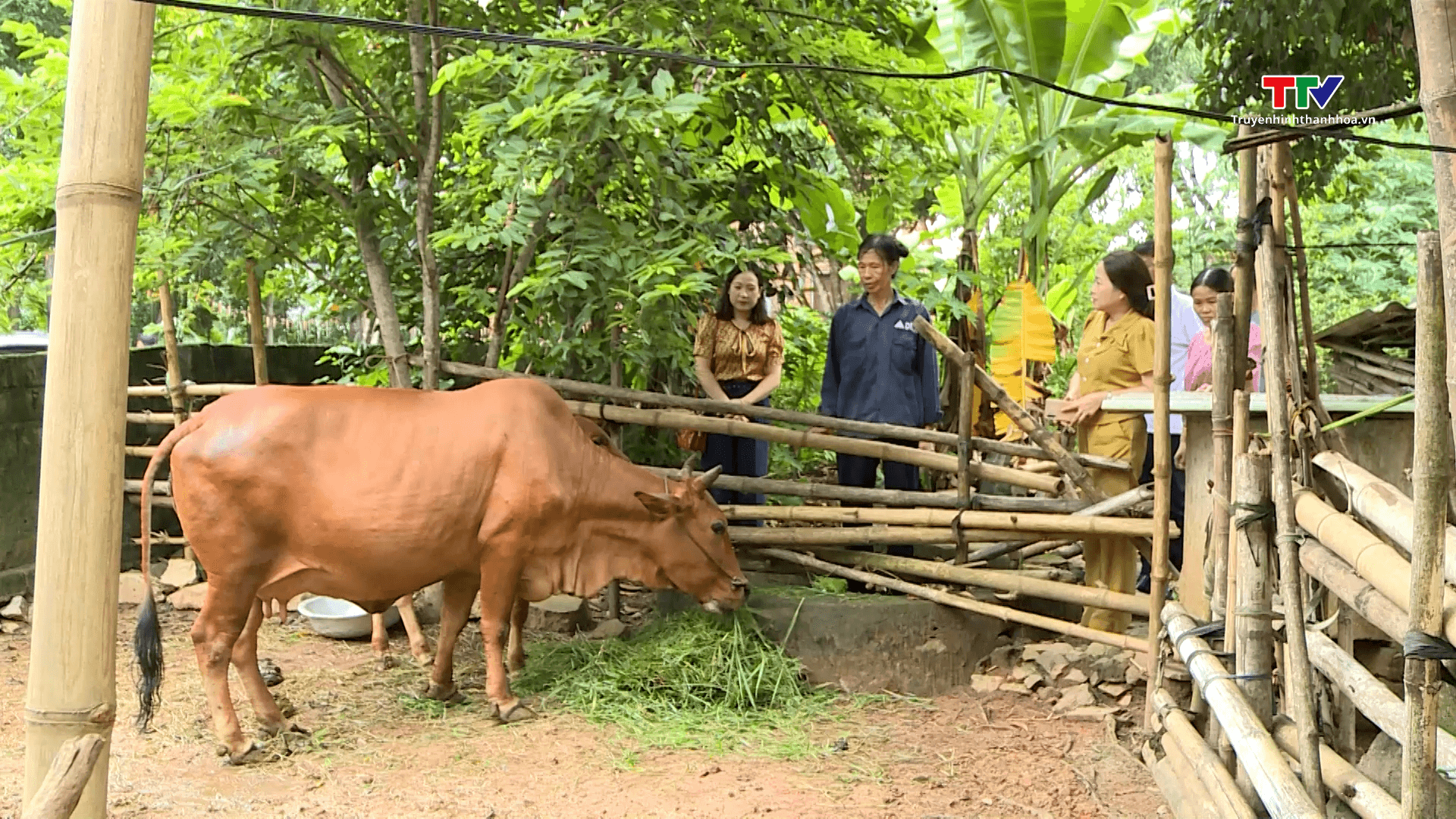 Thanh Hóa nỗ lực giảm nghèo bền vững