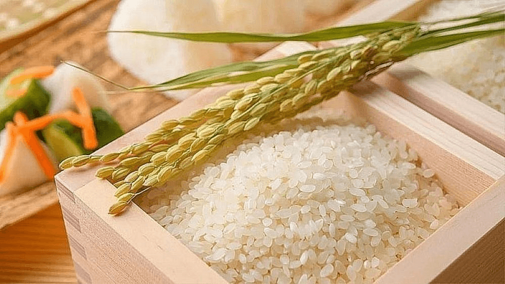 Giá lúa gạo hôm nay (28-5): Giá gạo điều chỉnh giảm