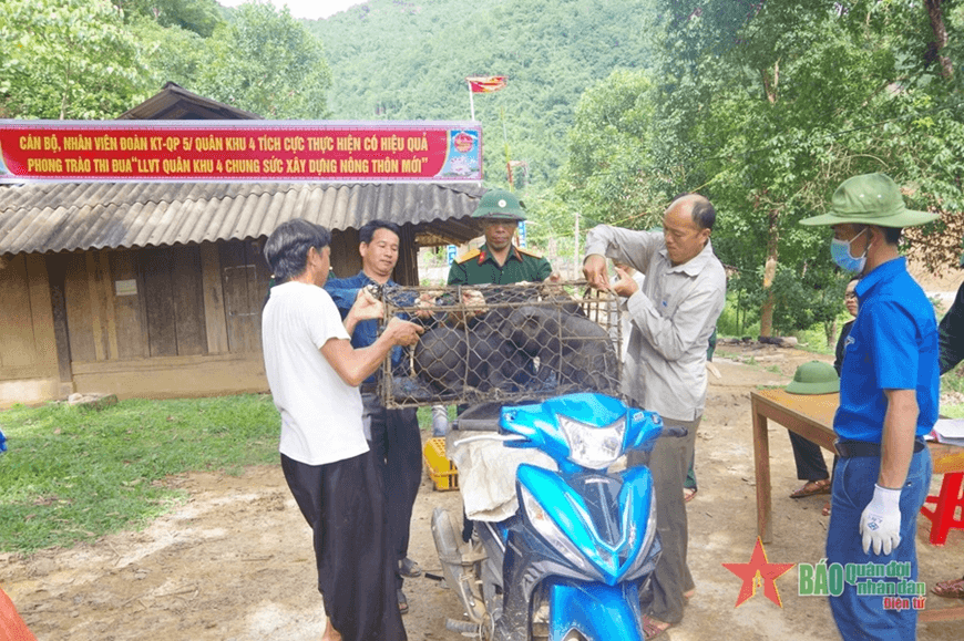 Chính sách và phát triển: Nỗ lực giảm nghèo ở Mường Lát