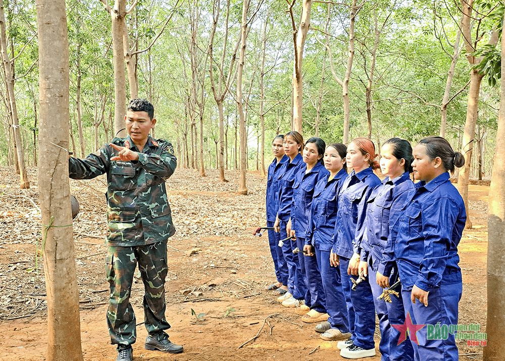 “Lực hút” từ công tác Đoàn