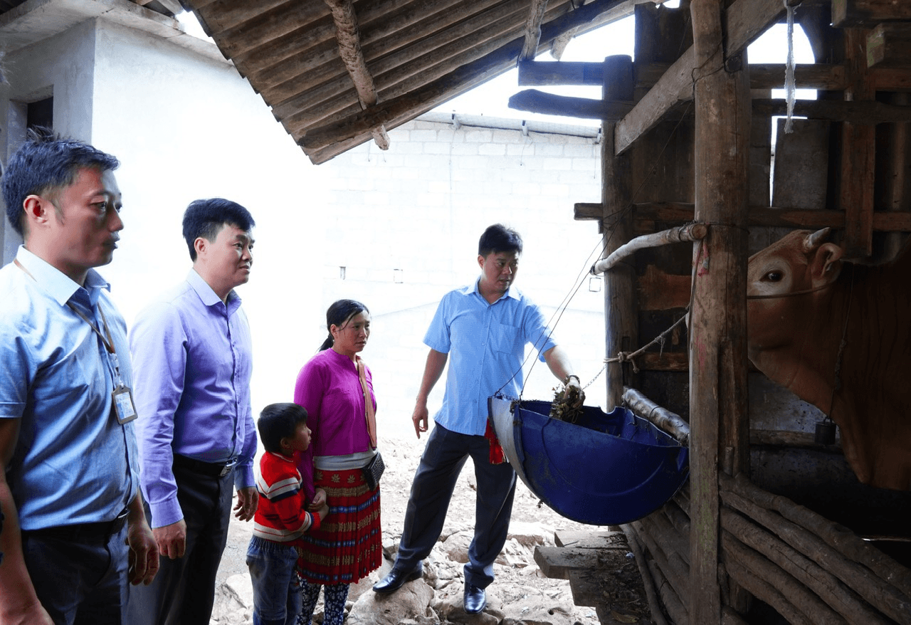 Giúp đồng bào xóa nhà tạm
