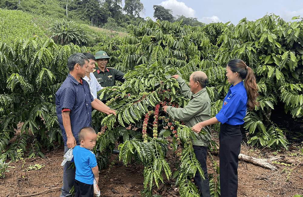 Đắk Glong nỗ lực giảm nghèo trong đồng bào dân tộc thiểu số