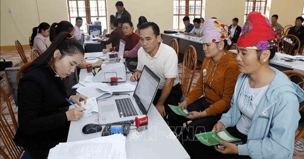 Chính sách và phát triển: Hiệu quả từ nguồn vốn vay tín dụng