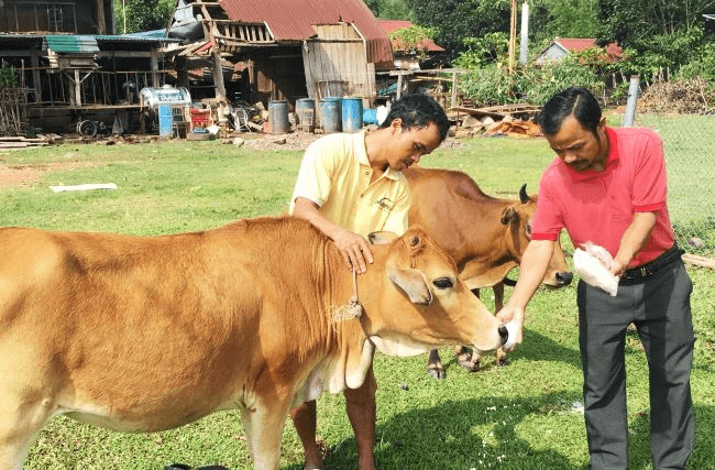 Hỏi-đáp pháp luật: Quy định như thế nào về trường phổ thông dân tộc bán trú?