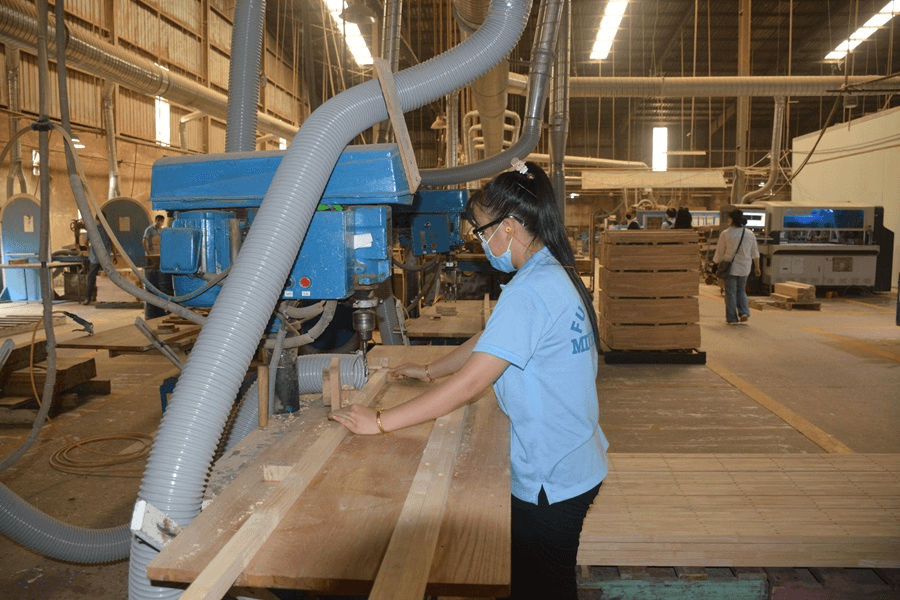 Đối thoại chủ nhật: Cần tăng mức đầu tư, hỗ trợ cho công tác bảo vệ và phát triển rừng
