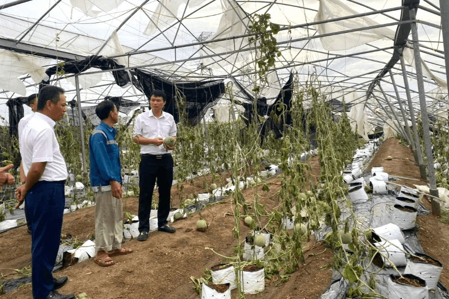 Bảo hiểm cho nông dân