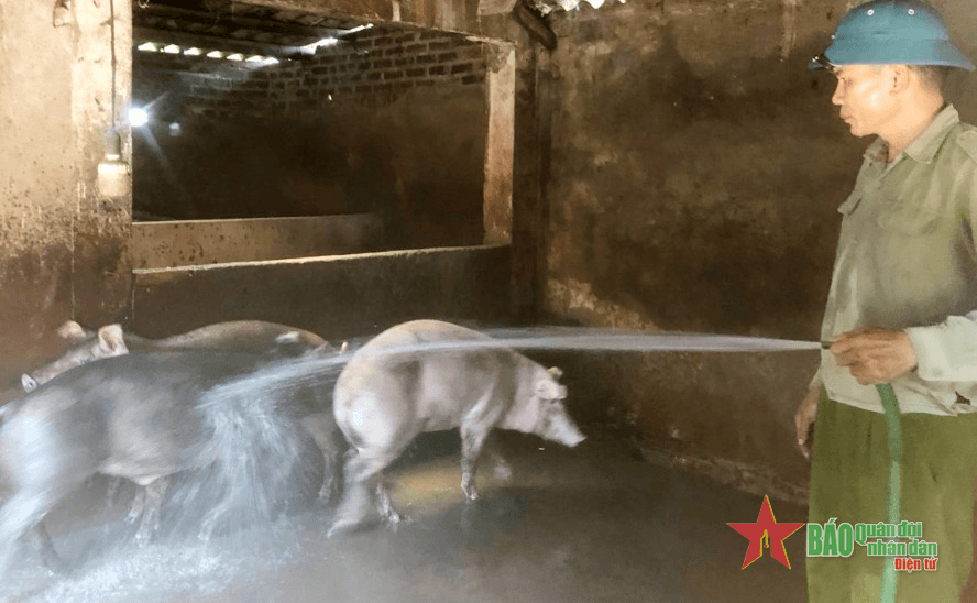 Gây quỹ giúp cựu quân nhân thoát nghèo