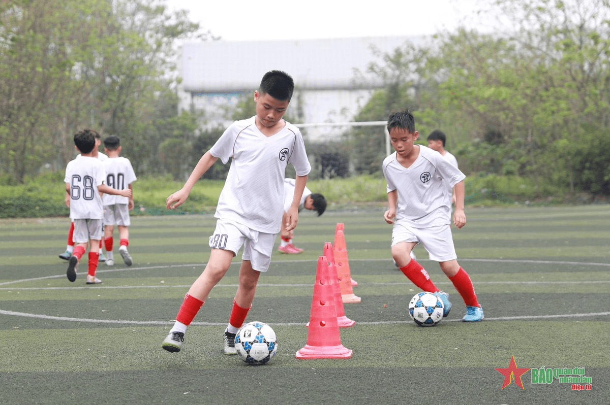 Nỗ lực thích nghi điều kiện mới