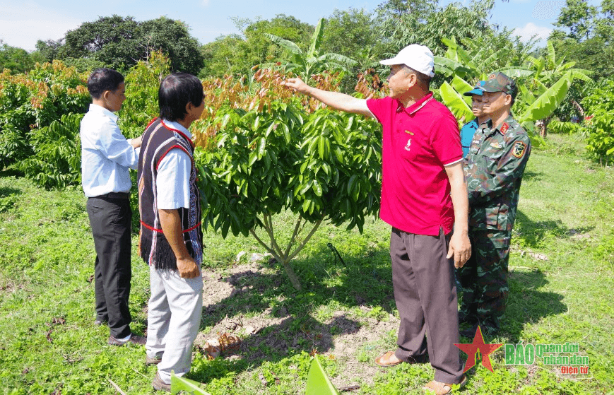 Tỷ lệ hộ nghèo giảm nhờ Chương trình 1719