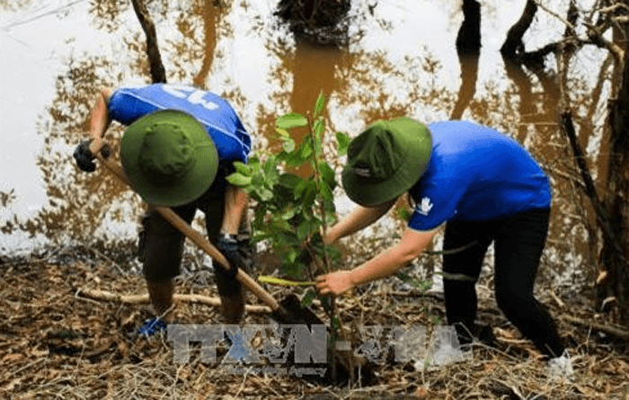 Chuyện ở bản: Phải trồng cây để phòng, chống sạt lở thôi!