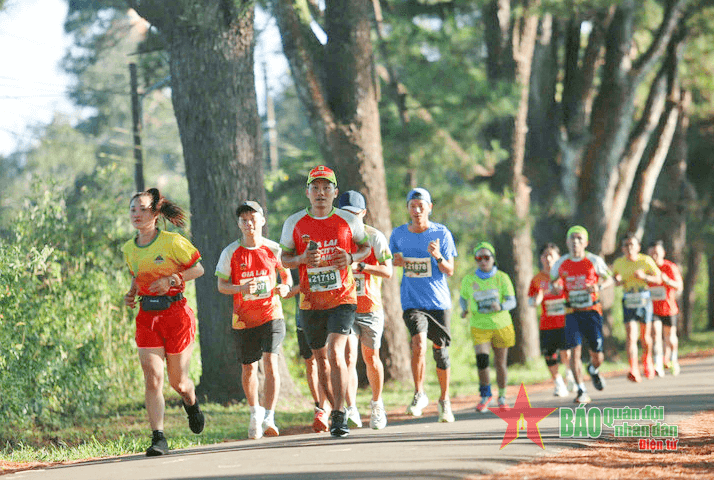 Giải chạy Gia Lai City Trail 2024 - Giấc mơ đại ngàn thu hút hơn 6.800 vận động viên tham gia