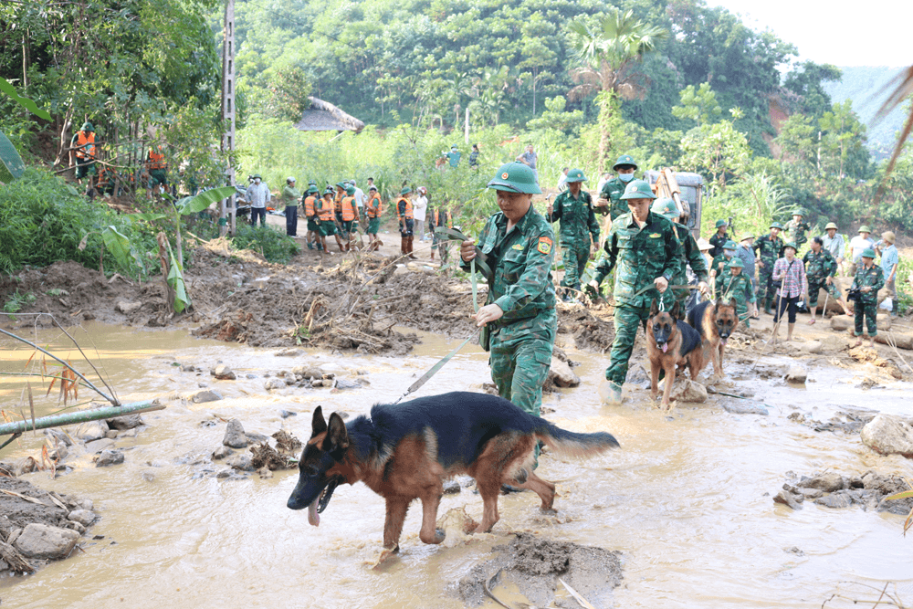 Trường Trung cấp 24 Biên phòng: Phát huy truyền thống, tích cực hội nhập, nâng cao chất lượng công tác