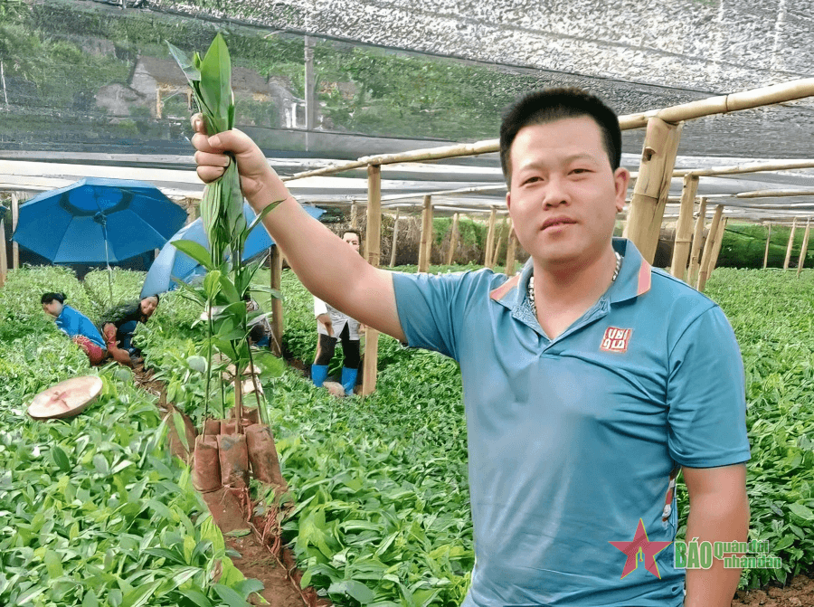 Ông chủ vườn ươm nhận danh hiệu nông dân xuất sắc