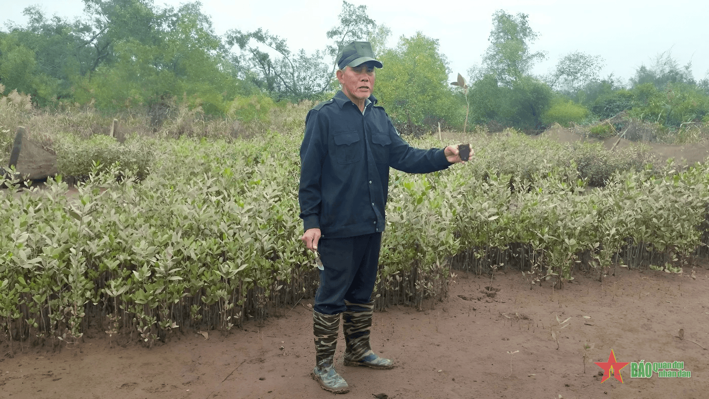 Cựu chiến binh Vũ Văn Tưởng: Người gieo mầm xanh nơi đầu sóng