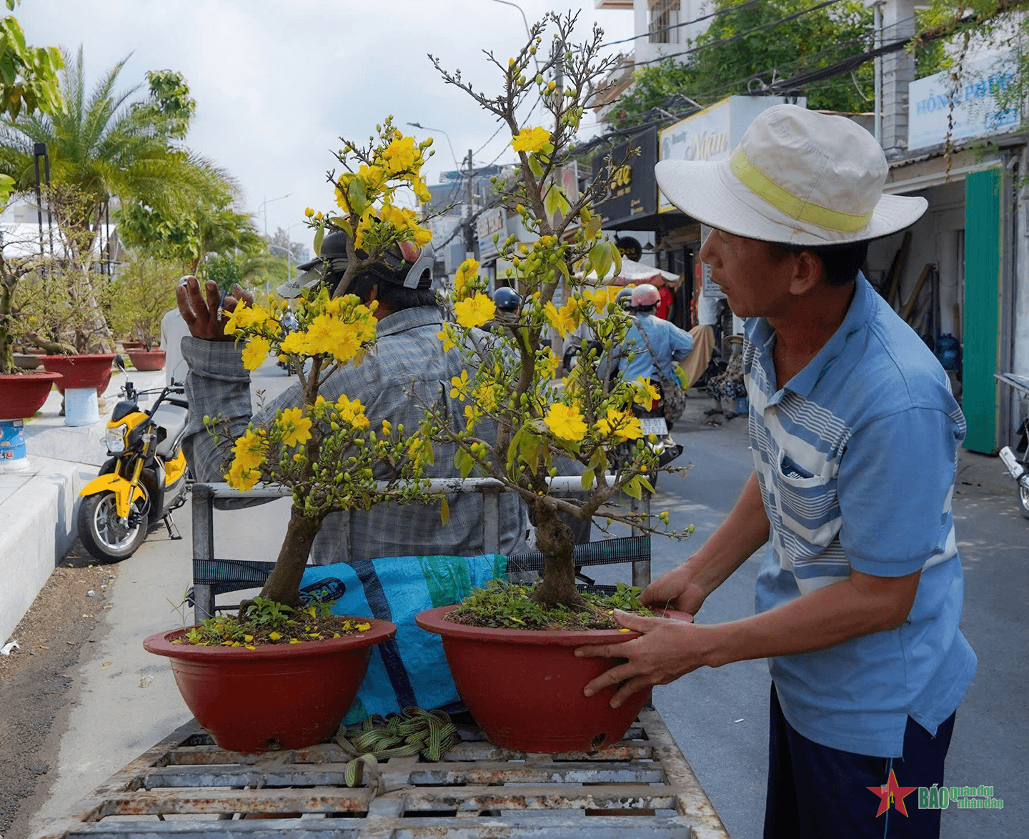 Cần Thơ: 200 gian hàng "hoàn toàn miễn phí" cho tiểu thương trong chợ hoa xuân