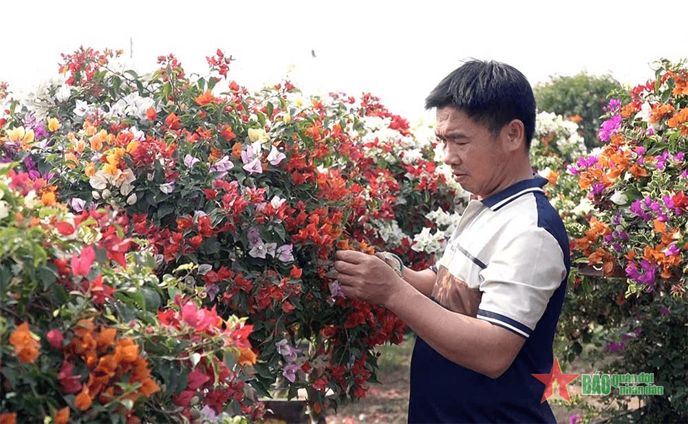 Làng nghề hoa giấy Phù Đổng vào vụ Tết