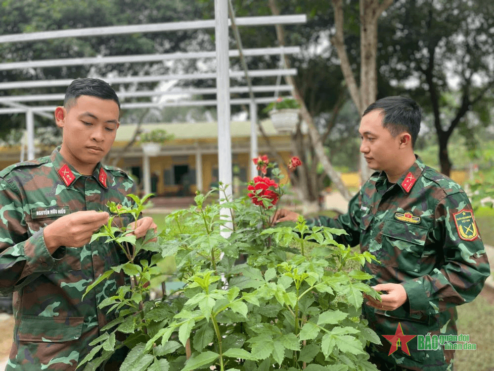 Sư đoàn 968 (Quân khu 4) chuẩn bị chu đáo để bộ đội vui xuân, đón Tết