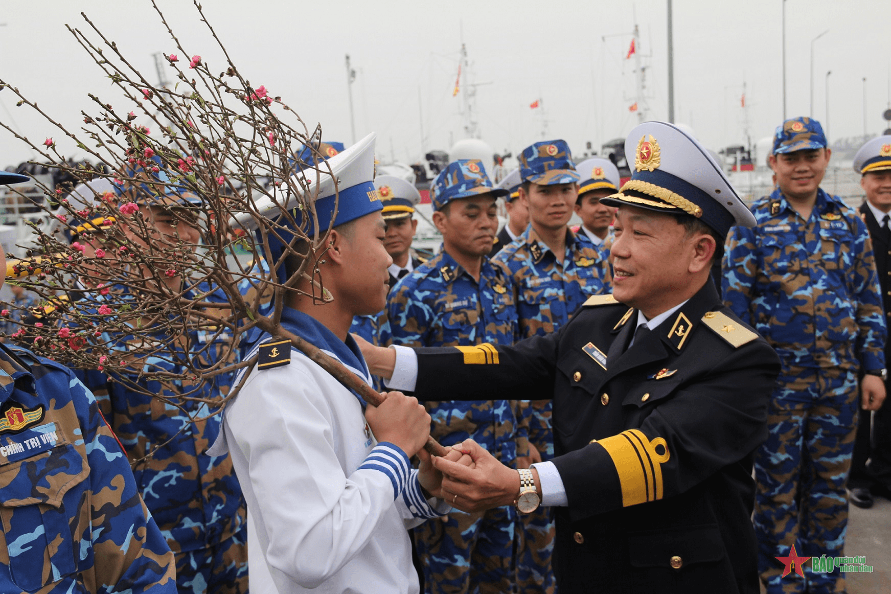 Xuân sớm trên đảo vùng Đông Bắc
