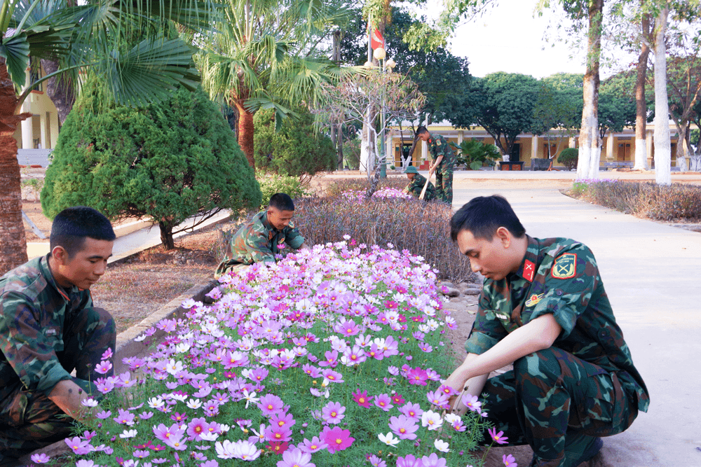 Chuẩn bị đón Tết chu đáo, vui tươi, an toàn