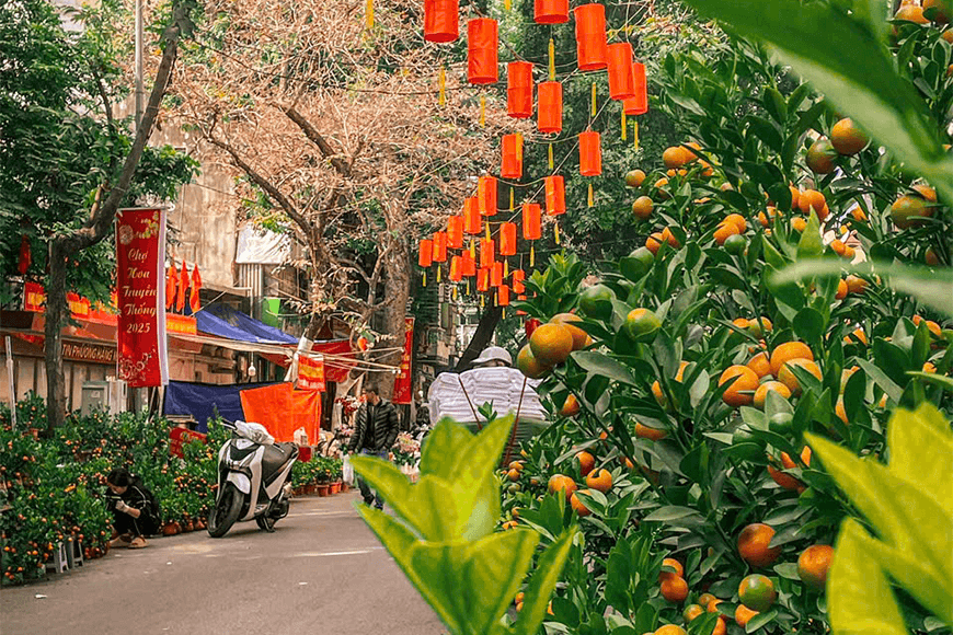 Hà Nội: Sắc đỏ nhuộm trời xuân