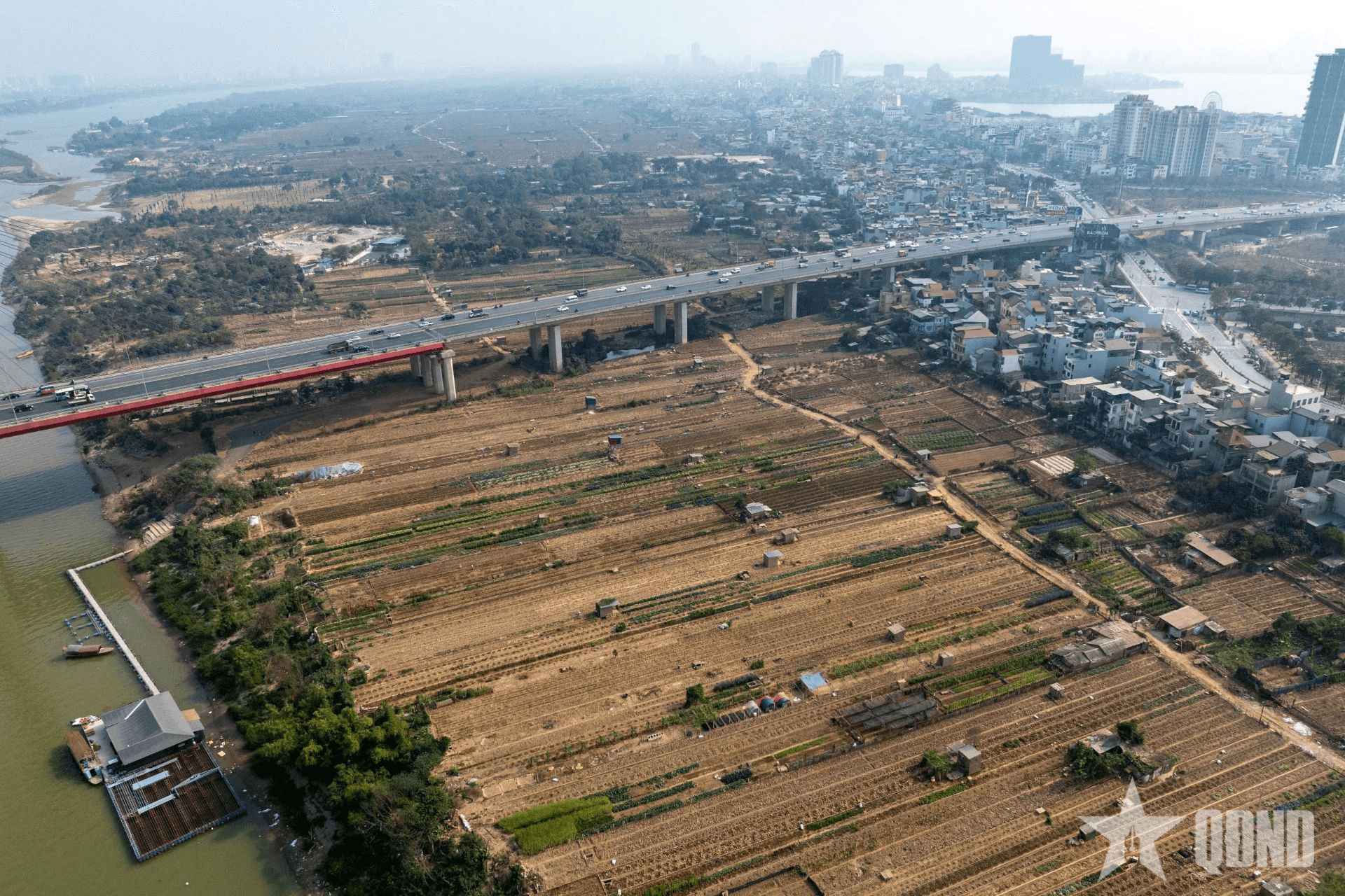 Vườn đào Nhật Tân “hồi sinh” dịp Tết Nguyên đán Ất Tỵ 2025