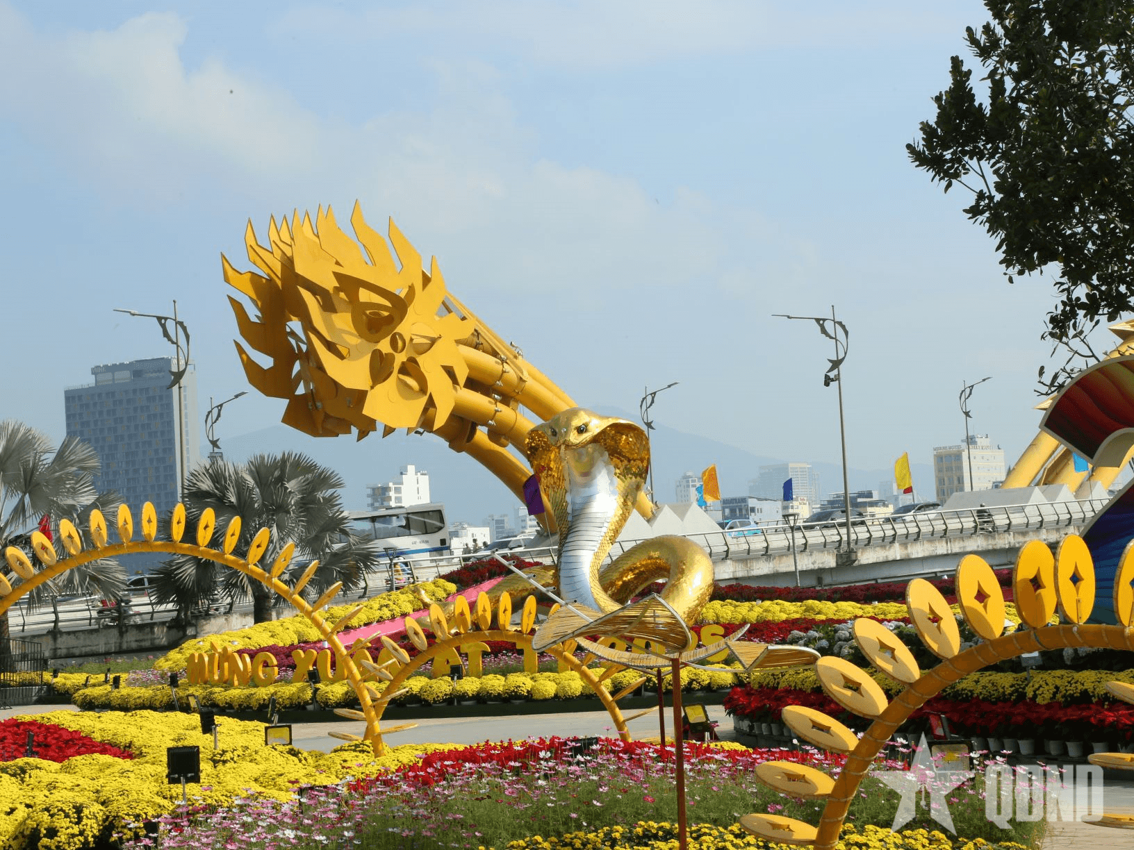 Đường phố Đà Nẵng rực rỡ sắc Xuân