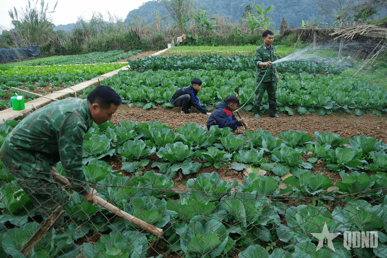 Tết của con nuôi đồn biên phòng