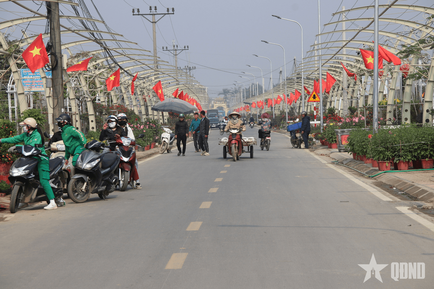Làng hoa, cây cảnh Tích Giang rực rỡ sắc hoa trước thềm Tết Nguyên đán