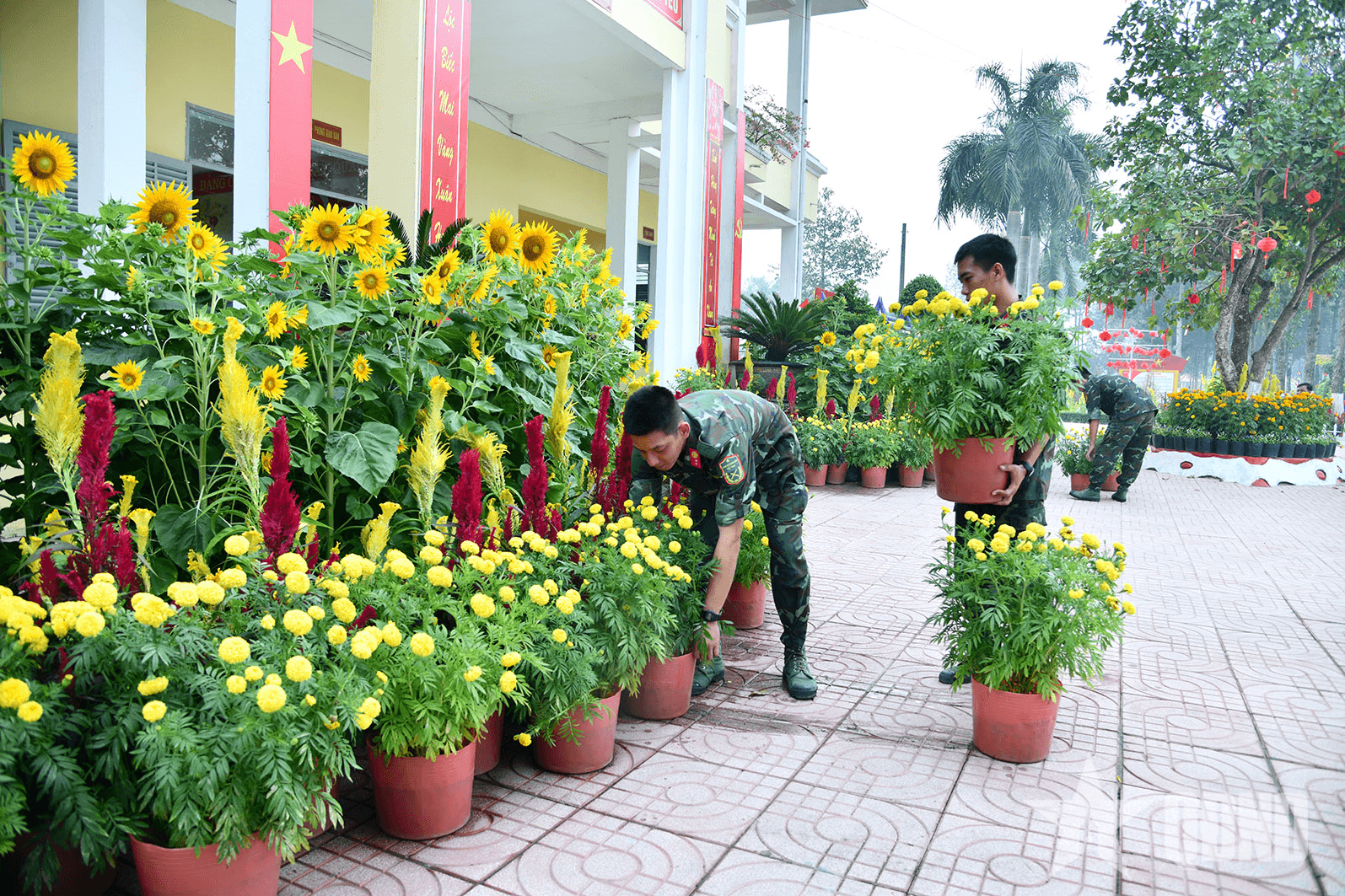 Rực rỡ hoa xuân chiến sĩ tại Sư đoàn 9 (Quân đoàn 34)
