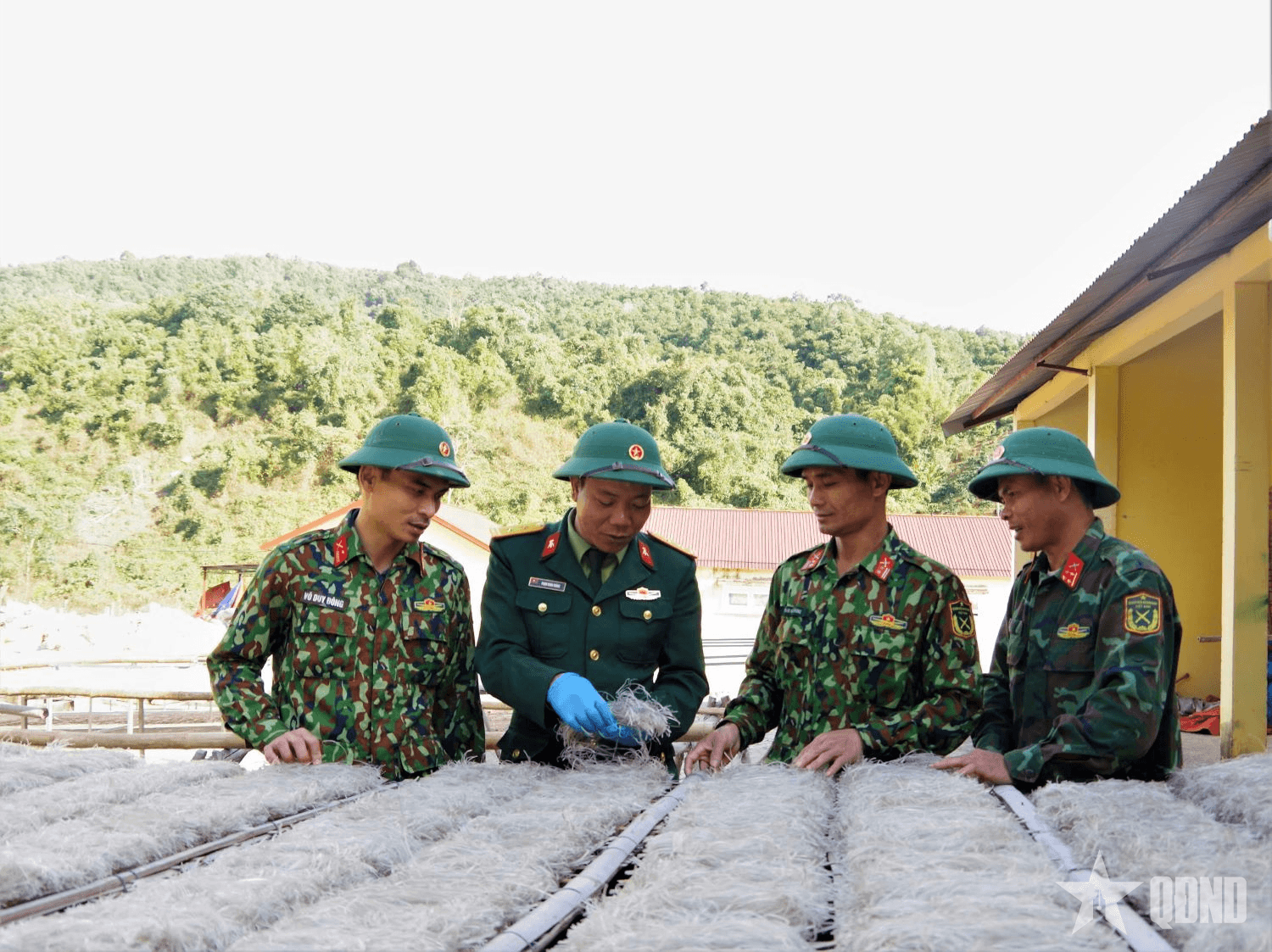 Khẳng định thương hiệu “Miến dong Trường Sơn”