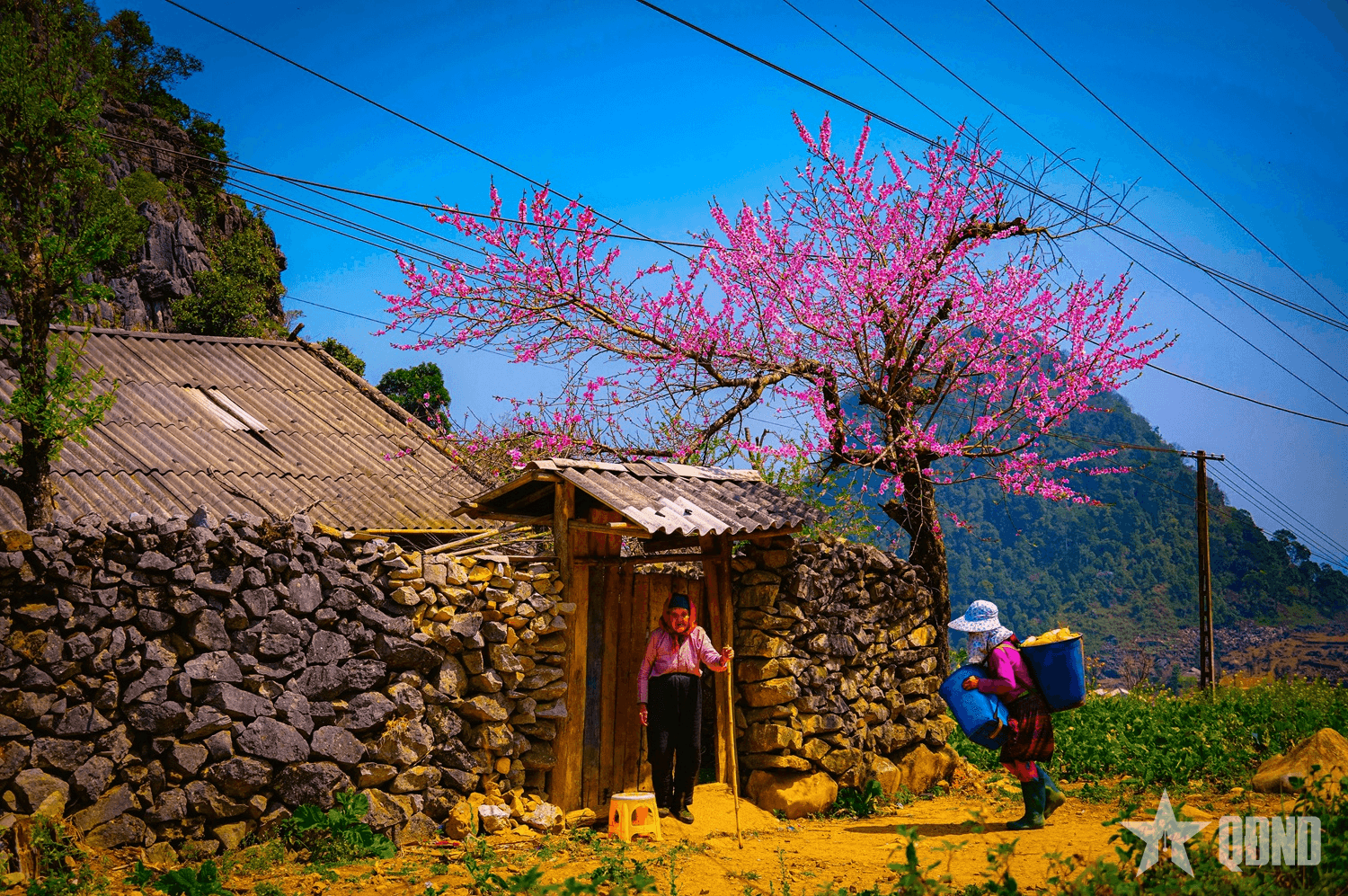 Nhịp sống ngày Tết trên cao nguyên đá Hà Giang
