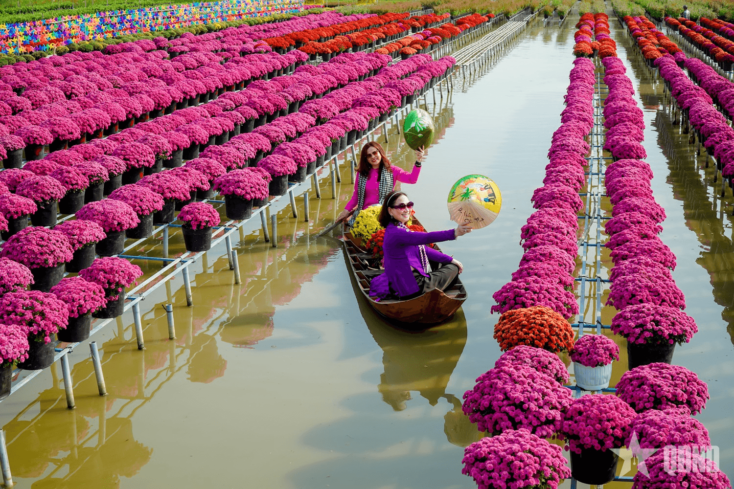 Đồng Tháp: Lượng khách tham quan làng hoa Sa Đéc tăng mạnh