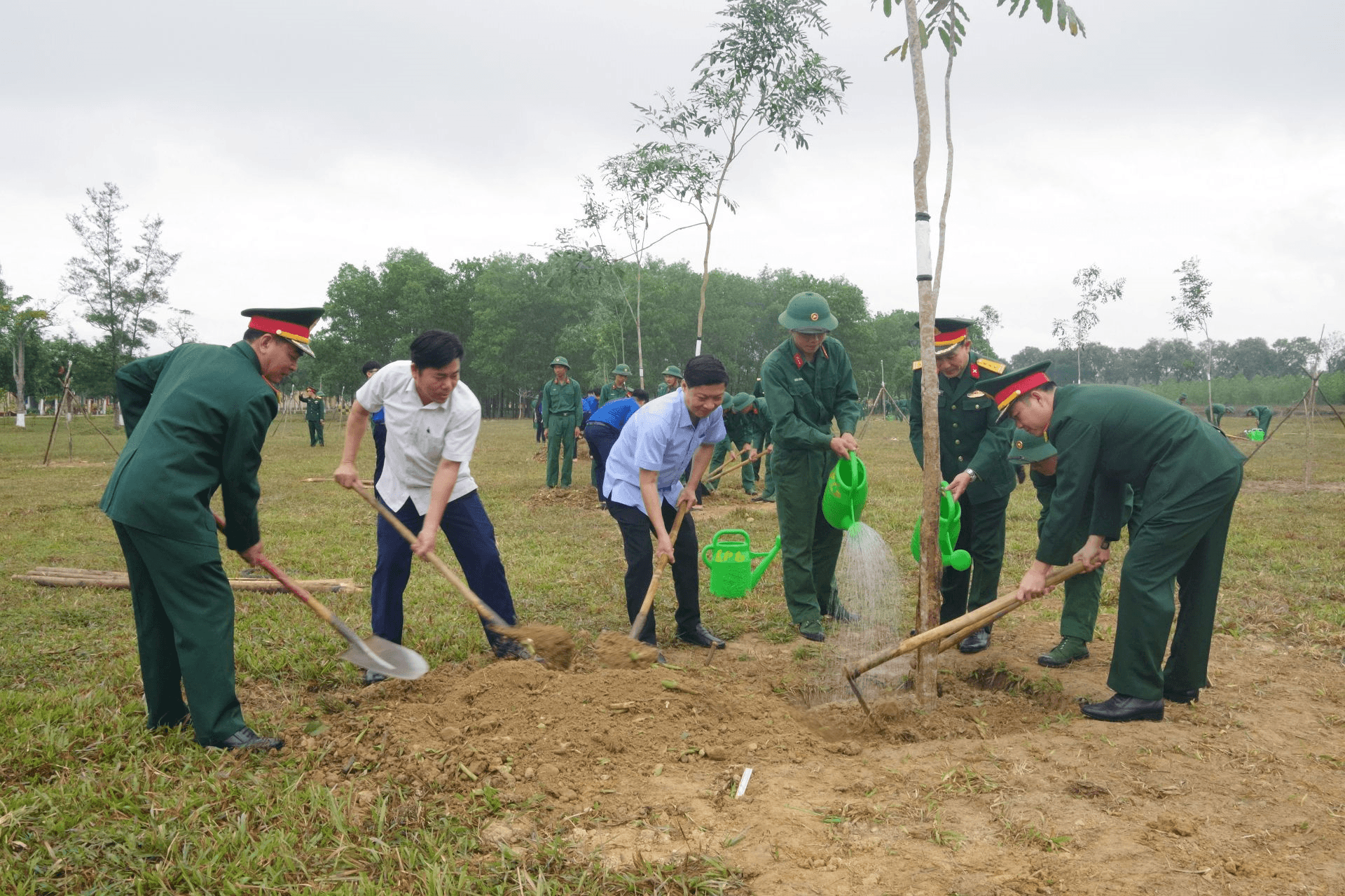 Sư đoàn 968 (Quân khu 4) trồng hơn 80.000 cây xanh đầu Xuân Ất Tỵ 2025