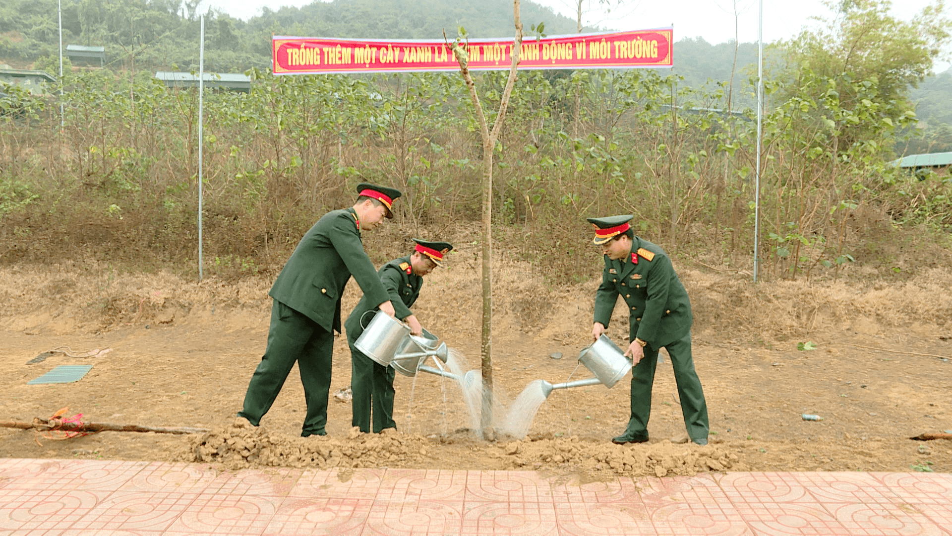 Bộ CHQS tỉnh Ninh Bình phát động "Tết trồng cây đời đời nhớ ơn Bác Hồ"