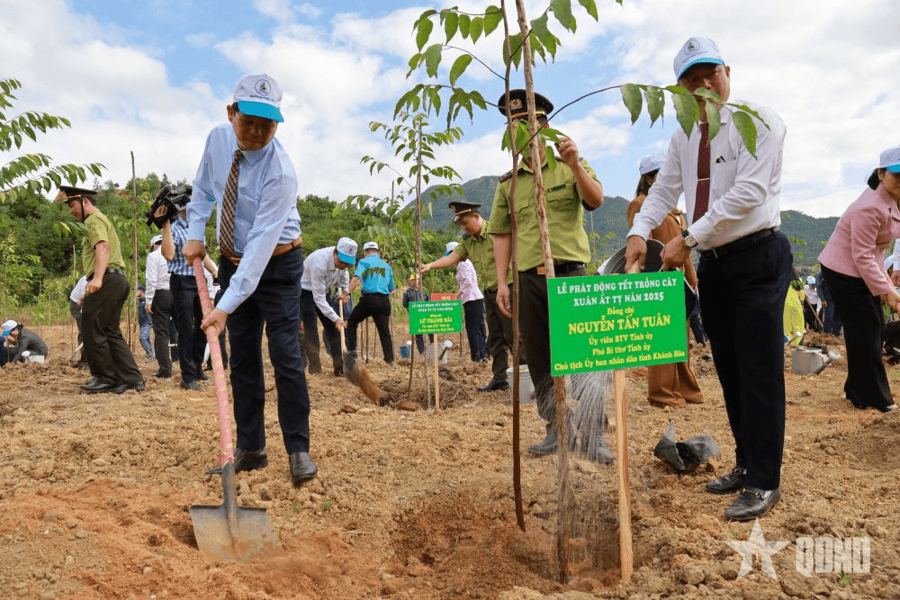 Khánh Hòa phát động trồng hàng chục nghìn cây xanh